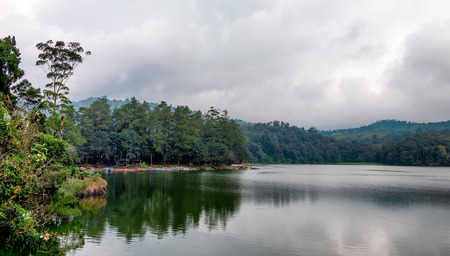 Trees in the side of big lake, this lake called situ patengan, located in Bandung, West Java, Indonesiaの写真素材