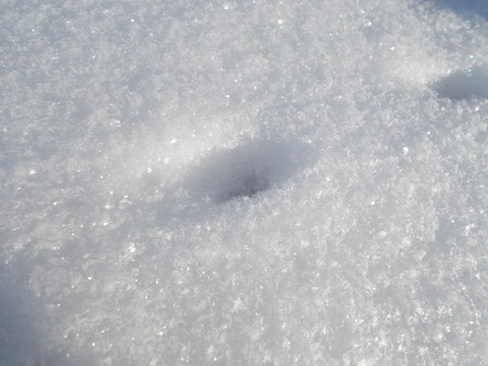 Cute little footprint of the little beast in the snow.Snow texture.Real shining snow.の写真素材