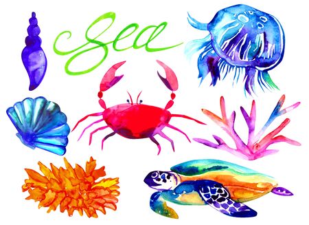 Sea hand drawn set. Nautical high resolution 600 dpi vibrant watercolor elements isolated on white background. For your design.の写真素材