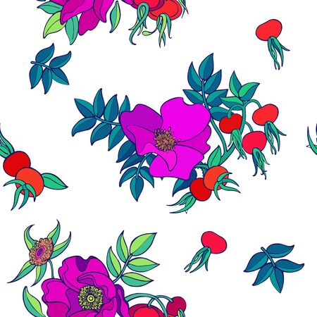 Rose hips flowers, berries and leaves seamless pattern. Vector hand drawn illustration isolated on white background. Floral texture. Good for textile, packing designのイラスト素材