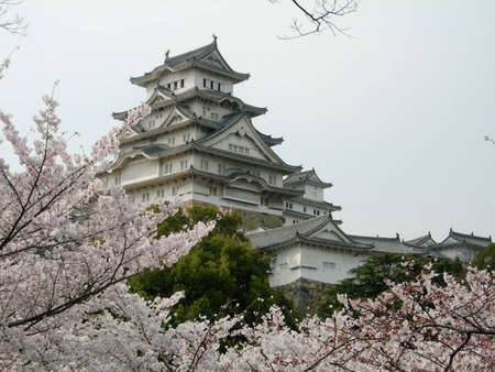 Himeji Castle near Kobe, Japan, with Cherry Blossomsのeditorial素材