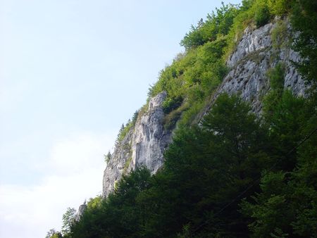 Picture from Carpath mountains - Europeの写真素材