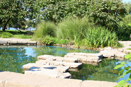 Small lake in a parkの写真素材