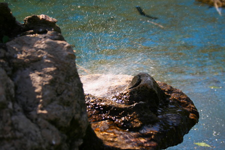 Small water fountine shaped in a rockの写真素材