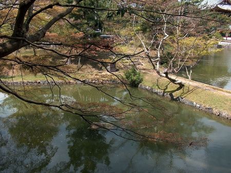 Asia in springの写真素材