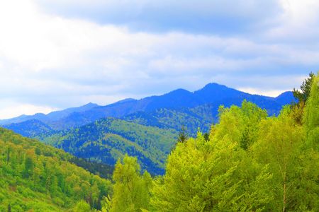 Mountain landscape (Carpathian mountains)の写真素材