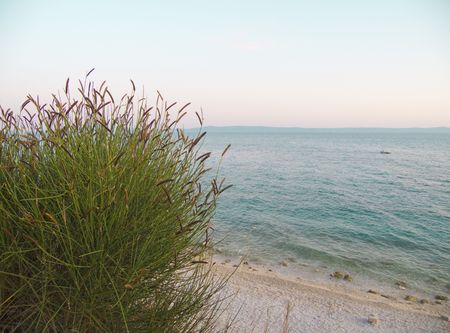 coastの写真素材