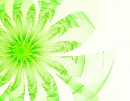 nice fractalの写真素材