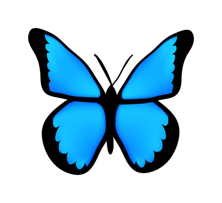 nice blue butterfly isolated on white  backgroundのイラスト素材
