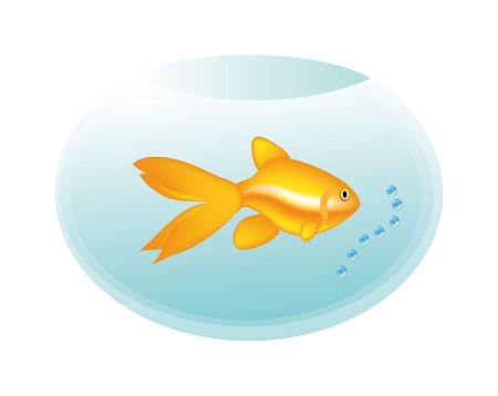 golden fish in bottle isolated on white backgroundの写真素材