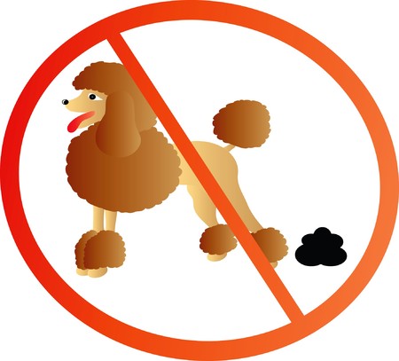 nice illustration - poodle in sign isolated on white backgroundのイラスト素材