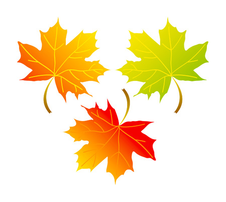 Illustration red, orange and green marple leafs isolated over white background のイラスト素材