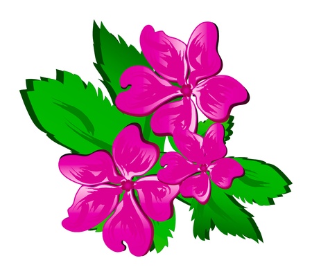 Vector creative hand-drawn watercolor flowers isolation over white backgroundのイラスト素材