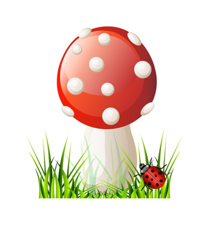 Vector red mushroom. Isolation over white background.のイラスト素材