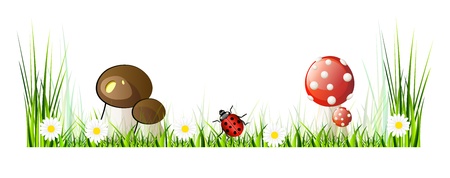 Beautiful vector landscape with green grass, garden, mushrooms and flowers. Isolation over white background.のイラスト素材