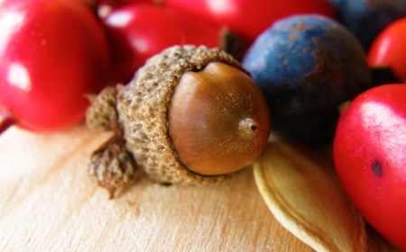 autumn decoration on the wood table.Colorful background.の写真素材