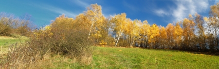 Colorful autumn landscape with trees. Middle Europe.の写真素材