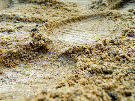 Detail of foot in wet sand on the beachの写真素材