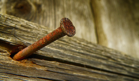 nice HDR detail of old nail in woodの写真素材