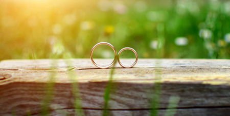 Two wedding rings on wood in garden. Love concept.の写真素材