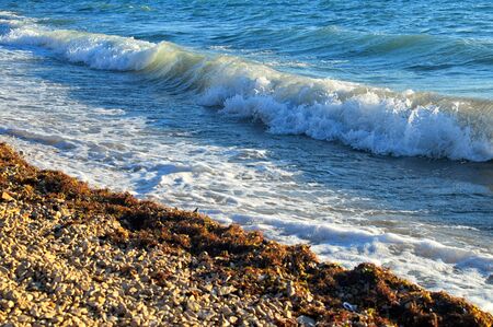 Detail of sea or ocean waves in coast. Summer or holiday background.の写真素材