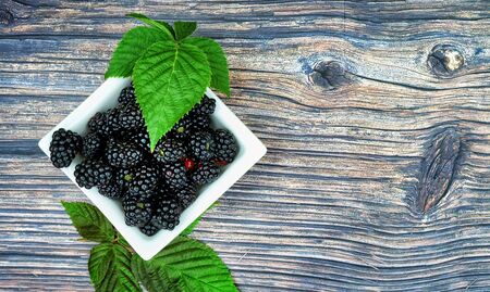 Detail of blackberries. Juicy and fresh bio blackberries from summer garden.の写真素材