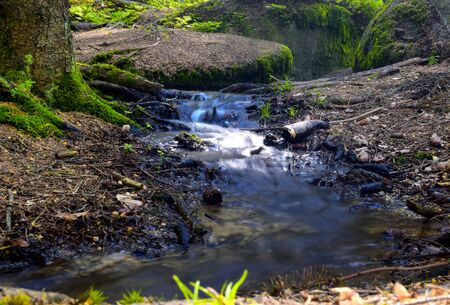 Beautiful scene in the forest with waterfall and river stream. Pure nature background.の写真素材
