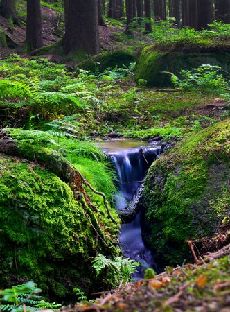Beautiful scene in the forest with waterfall and river streamの写真素材