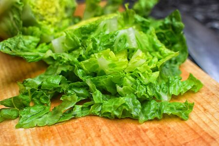Detail of a fresh bio lettuce leavesの写真素材