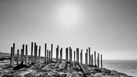 Posts in the rock of a cliff forming a barrier to prevent access to danger zoneの写真素材