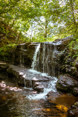 Detail of little waterfall on the inside of a forestの写真素材