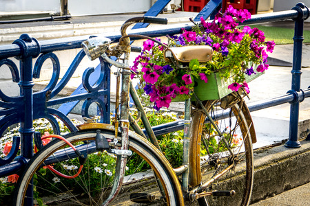 Detail of bicycle with flowers leaning on the fenceの写真素材