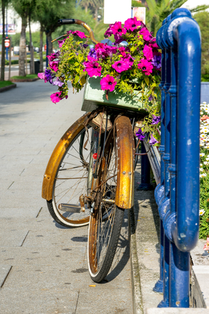 Detail of bicycle with flowers leaning on the fenceの写真素材
