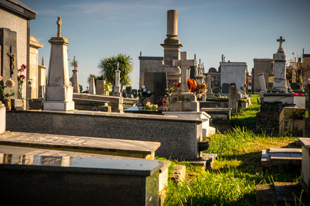 Detail of tombs and gravestones in the cemetery