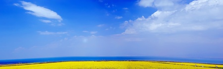Wetlands,Taken in the upper reaches of the Yellow River in China,was taken in August ,2008の写真素材