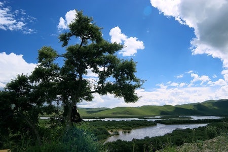 Wetlands,Taken in the upper reaches of the Yellow River in China,was taken in August ,2008