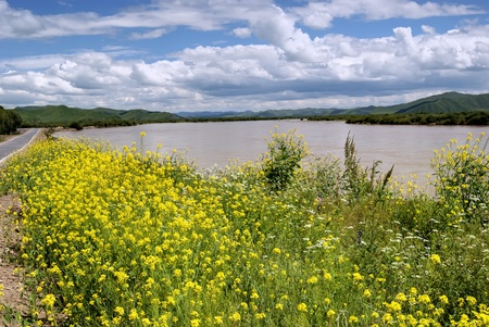 China Yellow River wetlandの写真素材