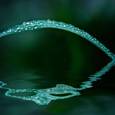 Grass covered with drops of water, beautiful 
