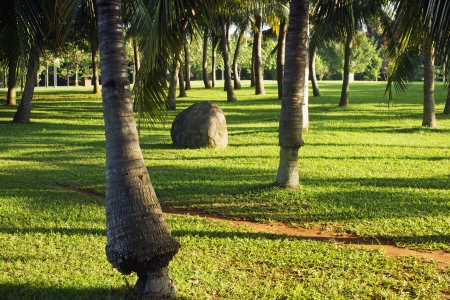 Green Park  This is the largest green park in Haikou, Chinaの写真素材