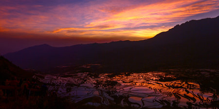 Sunrise Terraces,Taken in Yuanyang County, Yunnan Province, Chinaの写真素材
