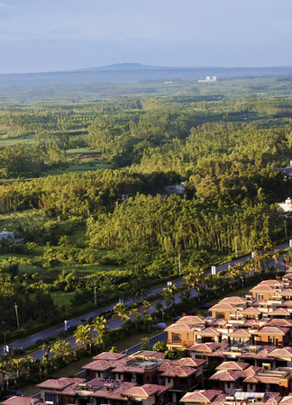 Morning wilderness Taken in Hainan Island China Summerのeditorial素材