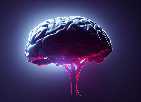 Human brain, 3D illustration. Conceptual image of human brainの素材