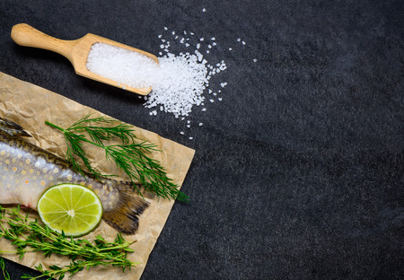 Raw Fish with cooking herbs and salt on Copy Space Areaの写真素材