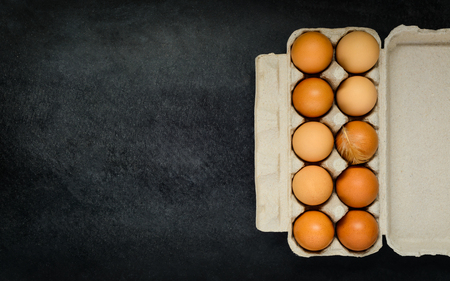 Copy Space Area with Fresh Organic Chicken Eggs in egg Carton Box and Copy Space Areaの写真素材