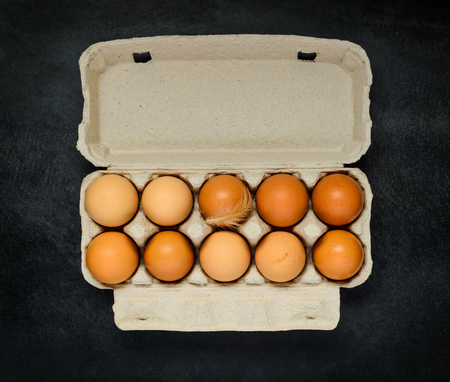 Organic and Fresh Chicken Eggs in Egg Carton Box on Dark Background