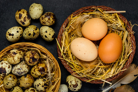 Organic Quail and Chicken Eggs in Nest and on Dark Backgroundの写真素材