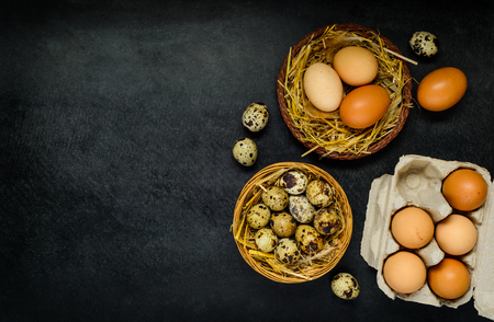 Copy Space Area with Quail and Chicken Eggsの写真素材