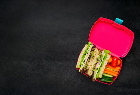 Pink Lunch Box with Sandwich and Vegetables on Copy Space Text Areaの写真素材