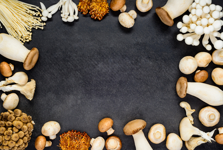 Copy Space Frame with Fresh Raw Edible Mushrooms in Top Viewの写真素材