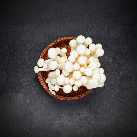 Top View of Shimeji Edible Mushroom on Dark Background